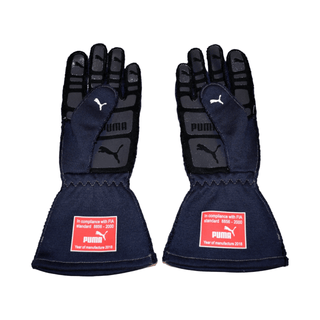 2017 Max Verstappen F1 Red Bull Racing Gloves